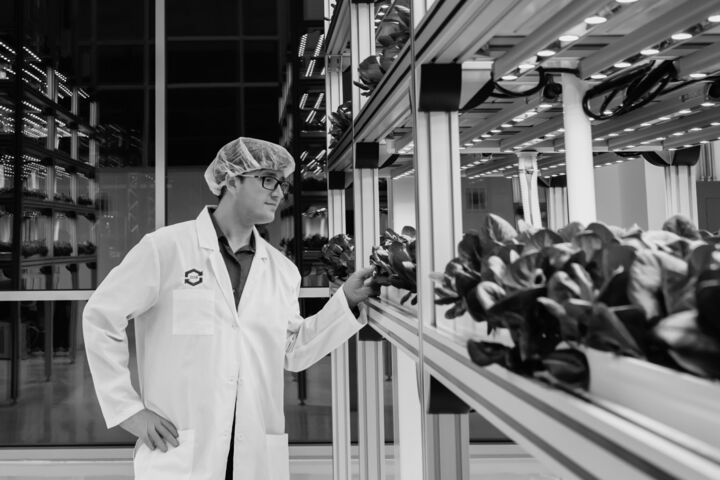 Creative Marketing Agency