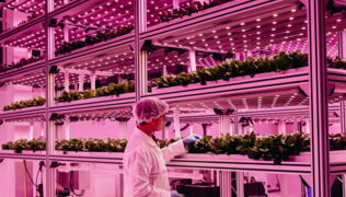 Creative Marketing Agency