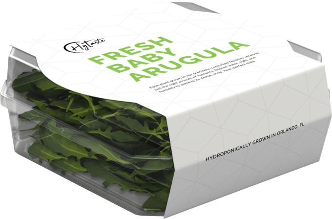 creative brand identity