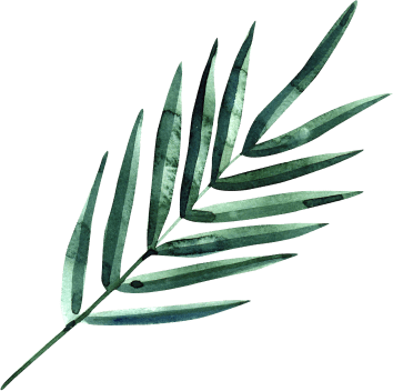 tropical leaf for theming