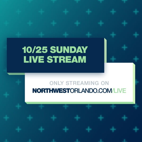 social media management