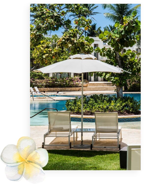 Digital Marketing Agency