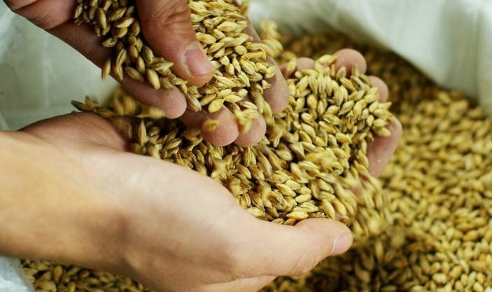 orlando marketing agencies