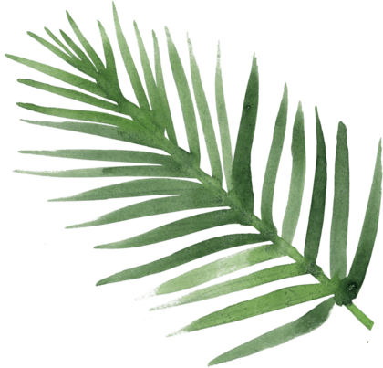 tropical leaf for theming