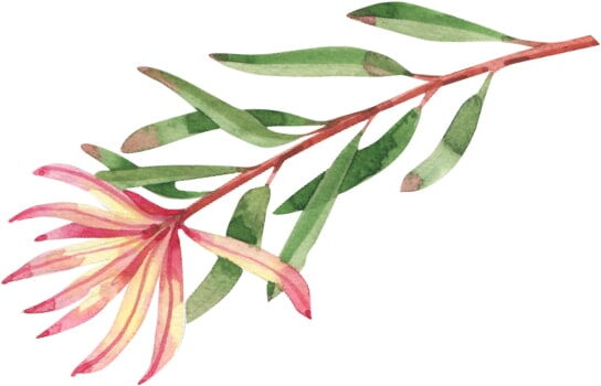 content marketing strategy