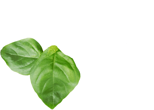 Orlando Marketing Agency