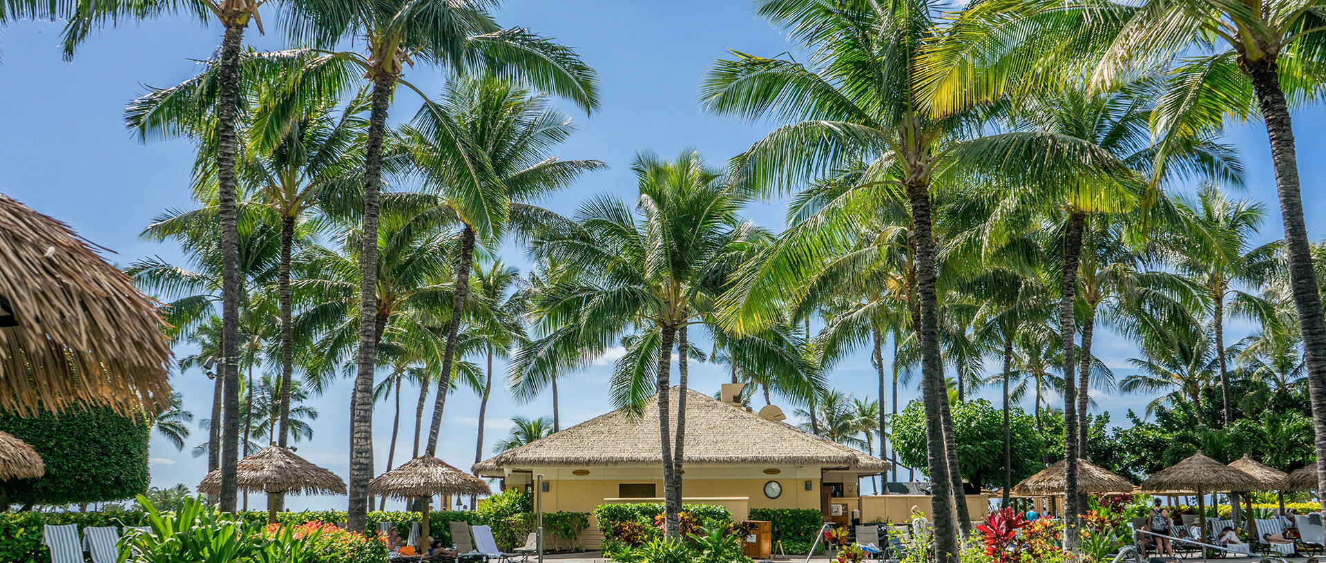 Getting the Most Out of Email Marketing for Destination Resorts & Clubs