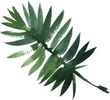 tropical leaf for theming