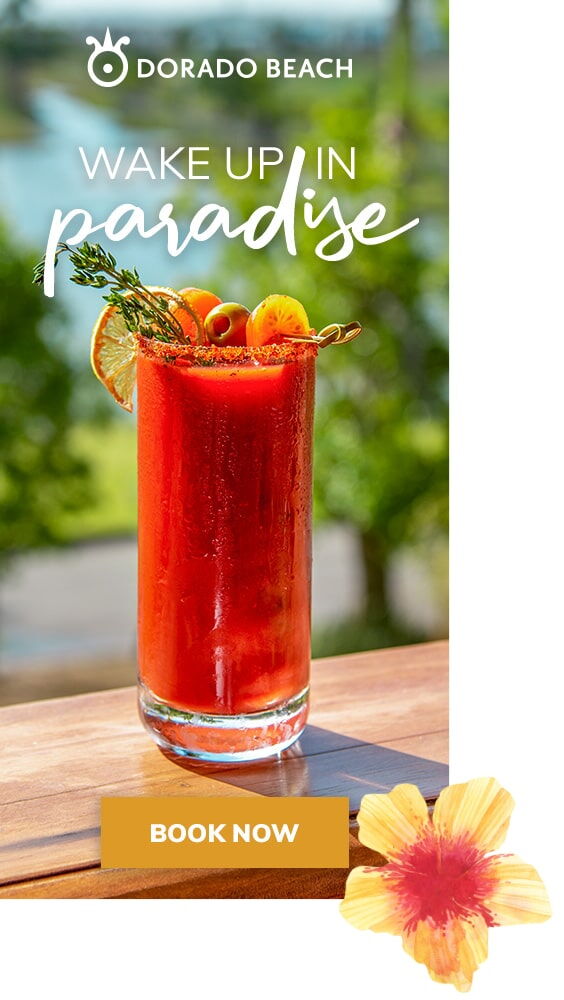 search and display marketing