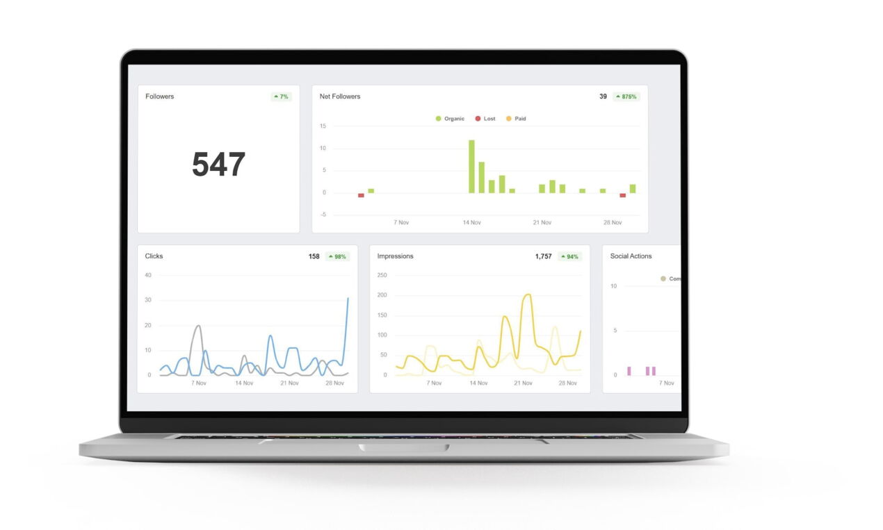 marketing insights and reporting