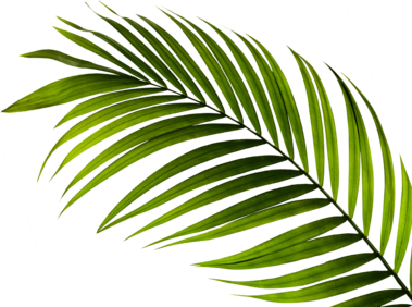 plant theming element