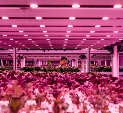 Digital Marketing Agency