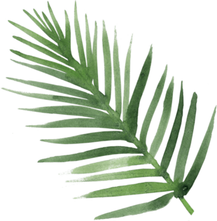 tropical leaf for theming