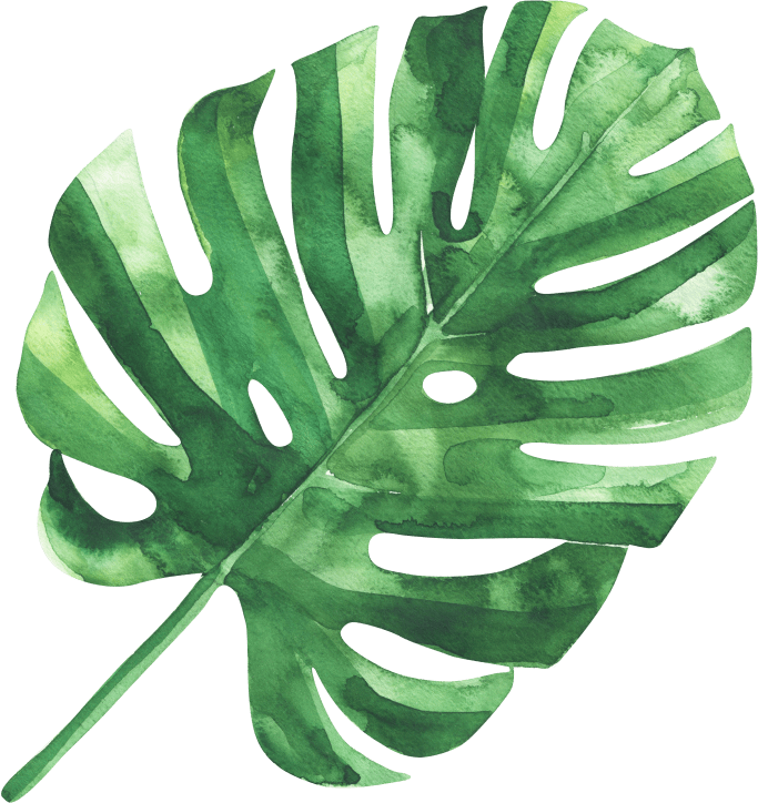 tropical leaf for theming