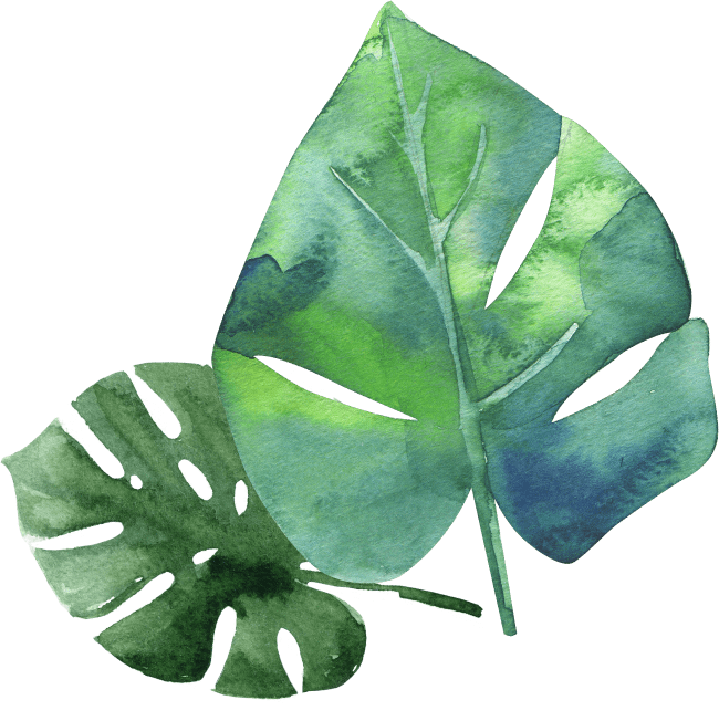 tropical leaf for theming