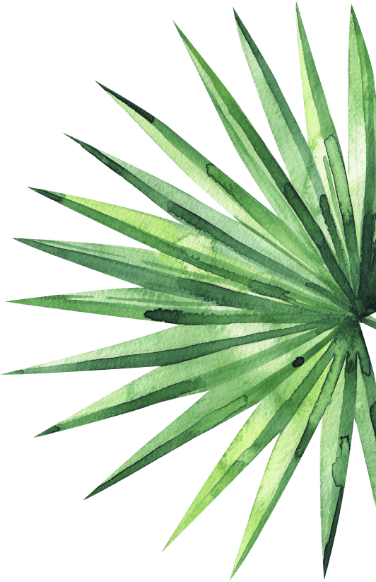 tropical leaf for theming
