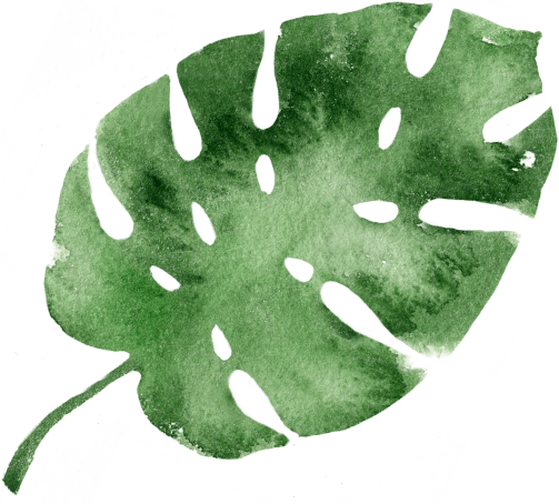 tropical leaf for theming