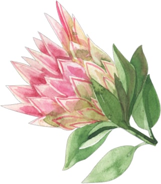 Social Media Marketing Management