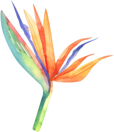 Orlando Marketing Agency