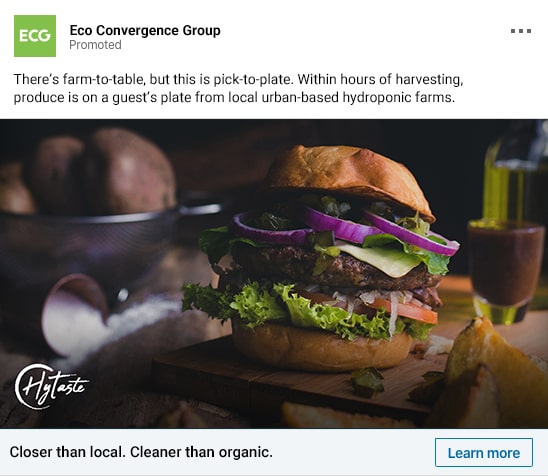 Social Media Marketing Management