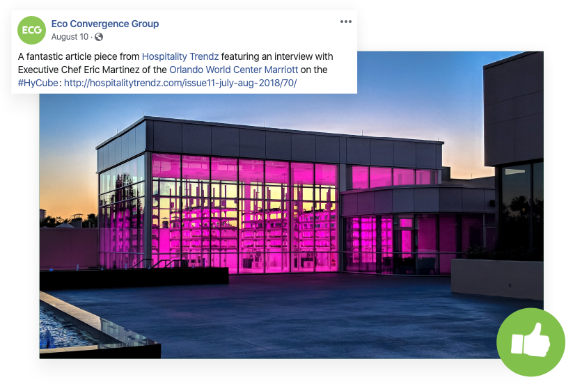 social media management service