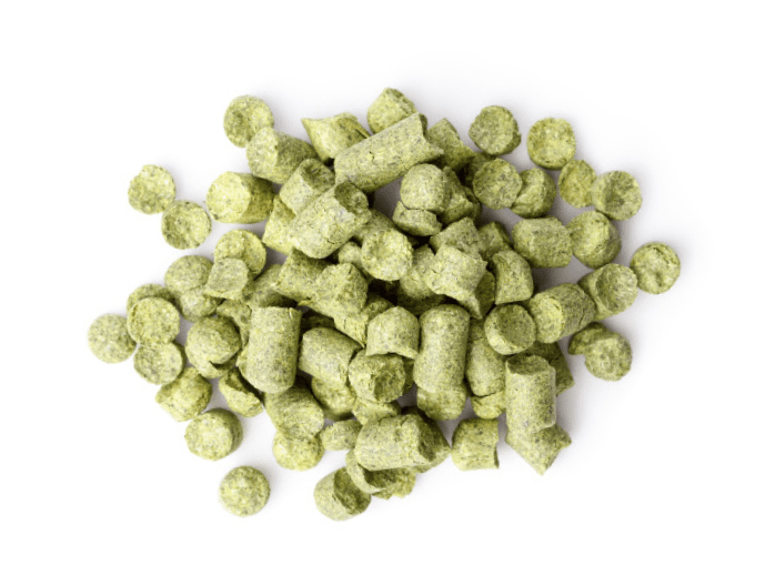 creative branding agency orlando