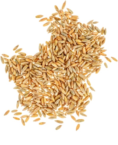 Digital Marketing Agency for B2B