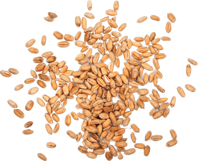 Creative Marketing Agency