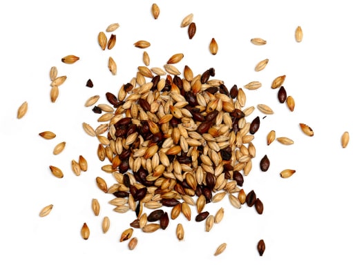 creative brand identity