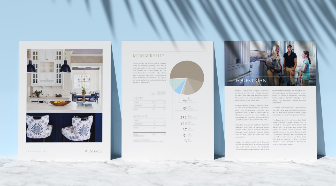 annual report design