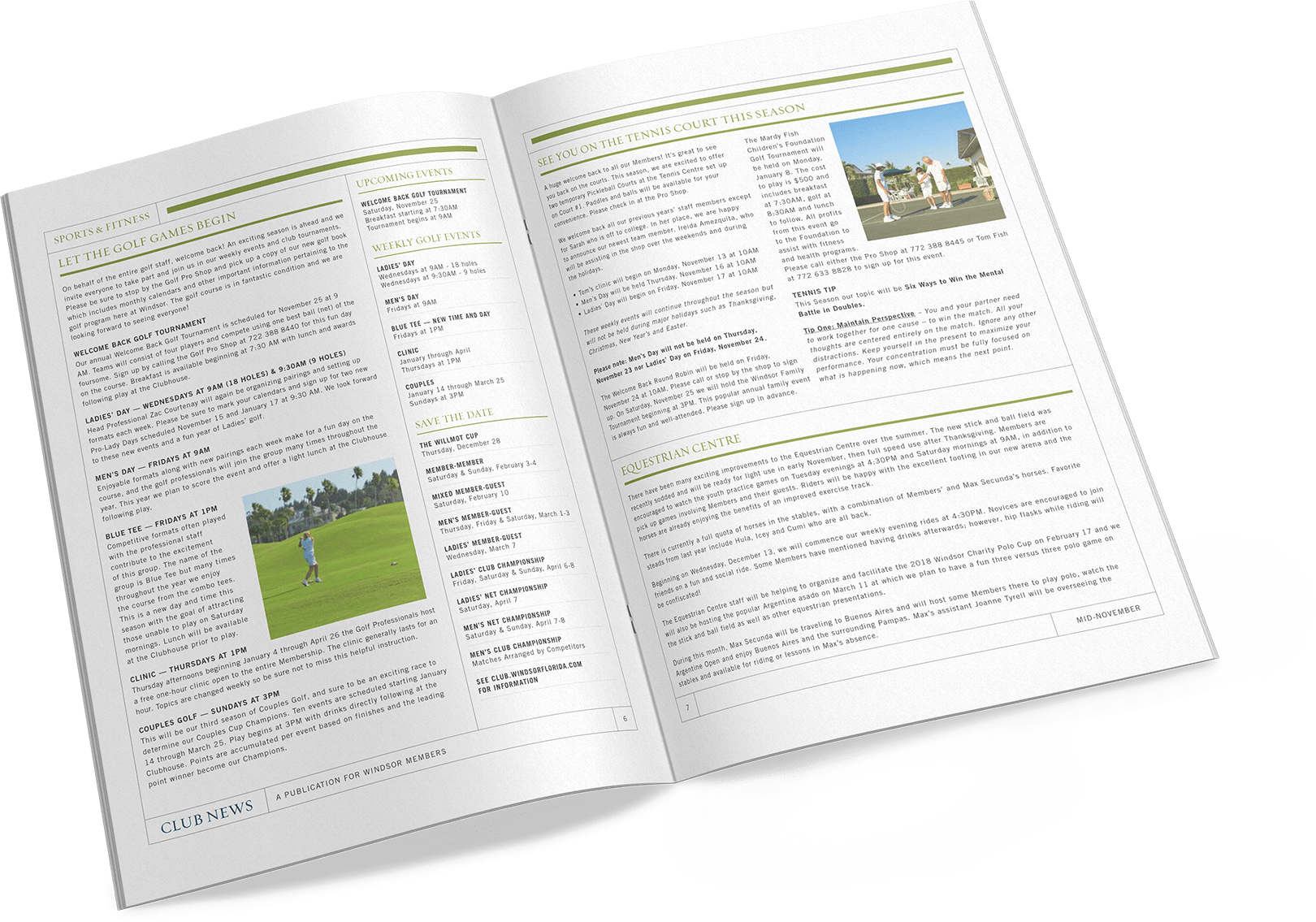 newsletter design and layout