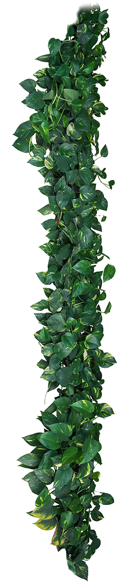 plant theming element