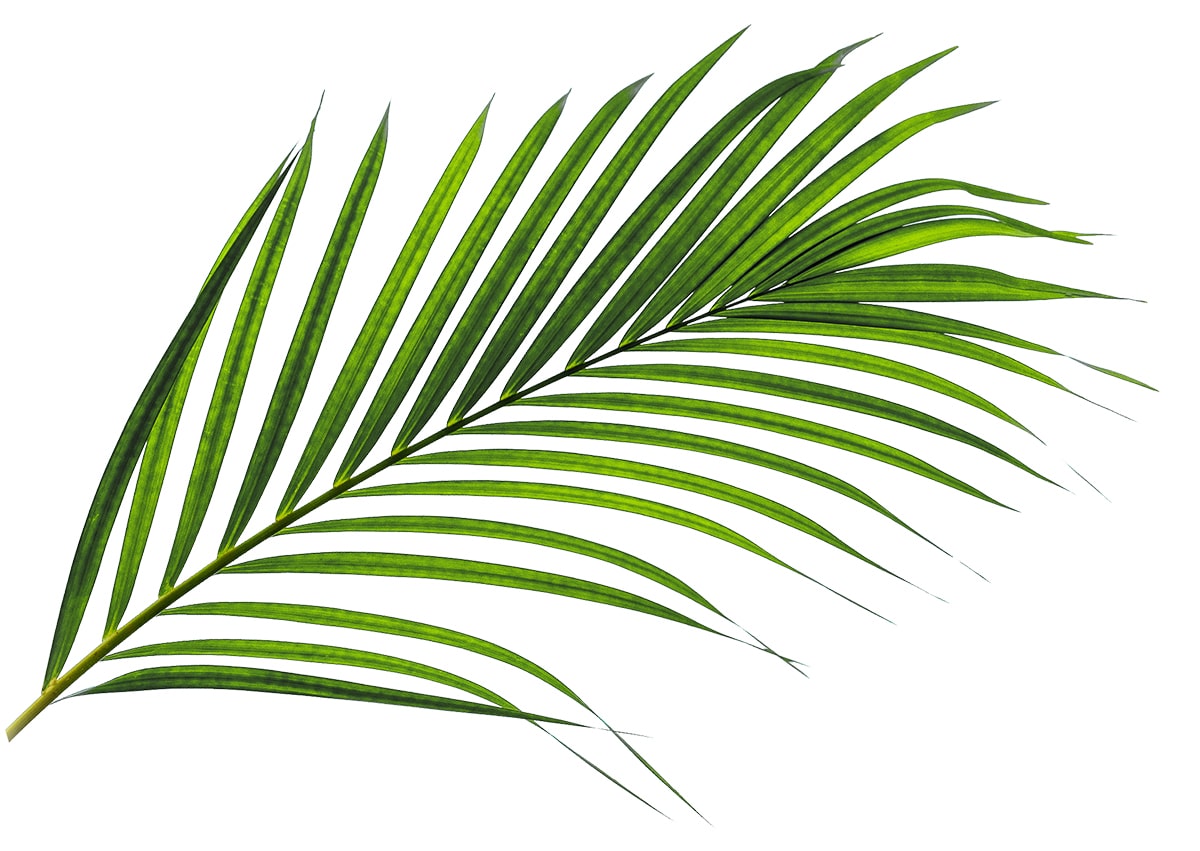 plant theming element