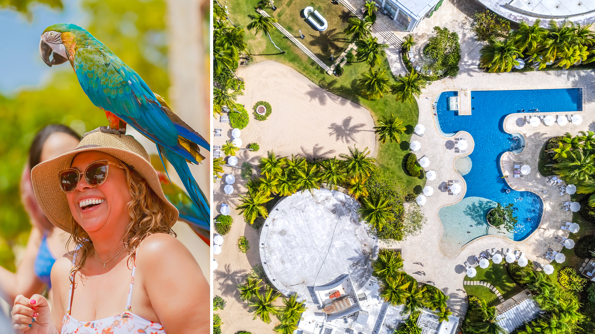 dorado beach resort puerto rico overhead shot of amenities and guest experiences